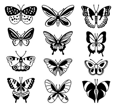 Collection of beautiful butterfly insects. Vector illustrations for tattoo, design, décor