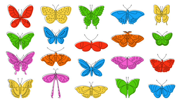 Set of vector contour butterflies. Beautiful insects for decoration
