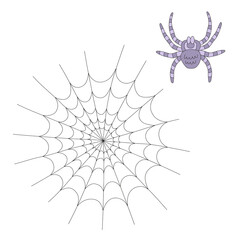 Spooky spider tarantula cobweb vector illustration isolated on white. Hippie groovy Halloween arachnid net insect print for T-shirt design.