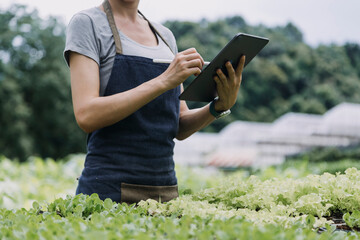 female farmer working early on farm holding wood basket of fresh vegetables and tablet