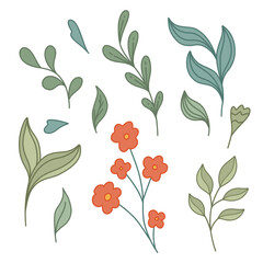 Vector set of retro groovy stems, foliage and small red flower. Cottagecore clipart with different leaves and stalk isolated from background.