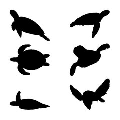 Sea Turtle Silhouette