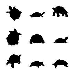 Tortoise Turtle Silhouette