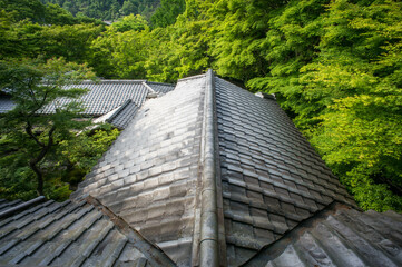 Fototapeta na wymiar 京都 夏の瑠璃光院の芸術的な屋根瓦