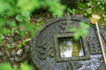 京都 金福寺の新緑とつくばい
