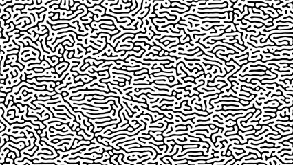 Fototapeta premium black and white geometric texture, grafic pattern for fabric, tile or backgroun