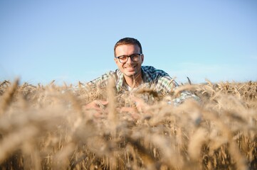 Naklejka na ściany i meble Young agronomist in grain field. Cereal farming
