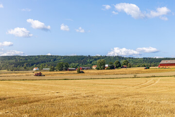 Fototapeta na wymiar Countryside with a Combine harvester in the field