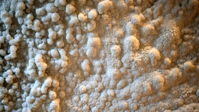 Salina Turda salt mine in Romania. Close view of a salt wall