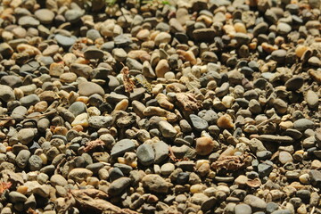 pebbles on the beach