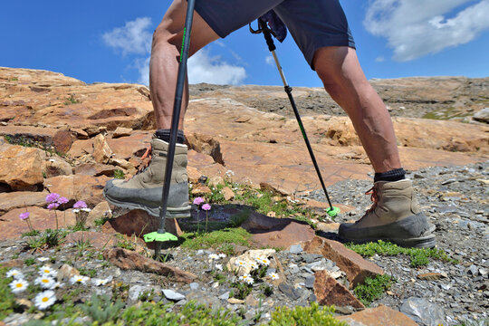 view on legs of a hiker climbing  a rocky mountain  of Mont  in summer