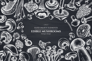 Monochrome design with chalk oyster mushroom, champignon, honey agaric, etc. © Sad