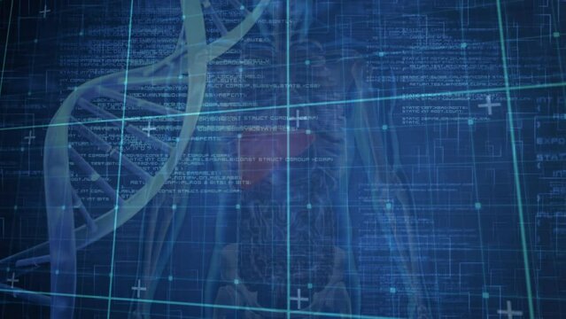 Animation of dna stricture spinning over grid network against human body model on blue background
