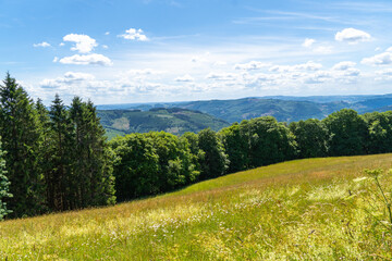 Fototapeta na wymiar Landscape at Schomberg in Sauerland. Nature with forests and hiking trails near Sundern on the Lennegebirge. 