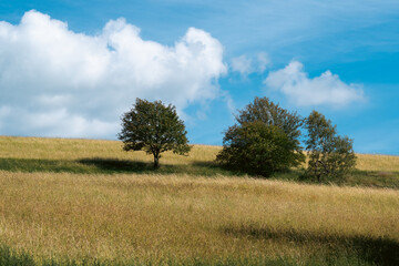 Landscape at Schomberg in Sauerland. Nature with trees and meadows near Sundern on the...