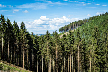 Landscape at Schomberg in Sauerland. Nature with forests and hiking trails near Sundern on the...