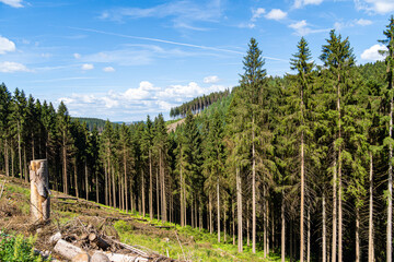 Landscape at Schomberg in Sauerland. Nature with forests and hiking trails near Sundern on the Lennegebirge.
