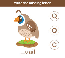 write the missing letter,illustration, vector