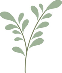Fototapeta na wymiar Botanical floral Hand drawn, leaf and branch element for design