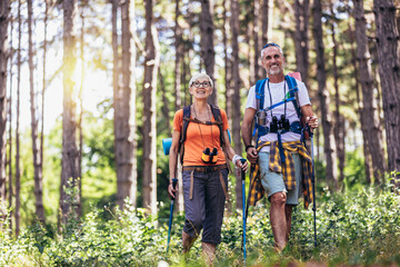 Senior couple hiking in forest wearing backpacks and hiking poles. Nordic walking, trekking....