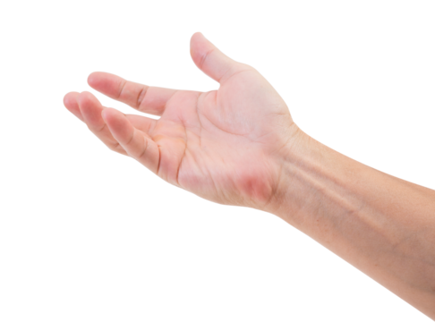 Hand isolated