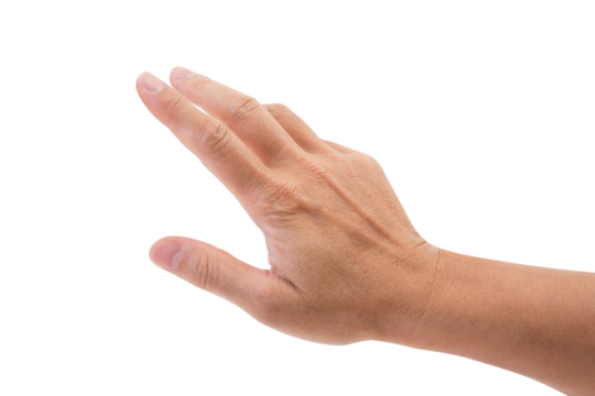 Hand isolated