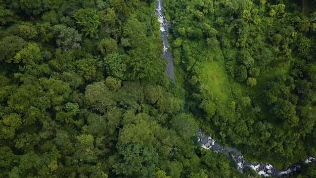 Bromo Rainforest Aerial Drone