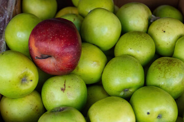 a red apple among green apples at a fruit market