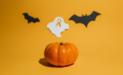 Fresh ripe pumpkin on orange background. Space with bats and ghost Halloween concept