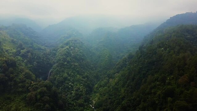 Bromo Rainforest Aerial Drone