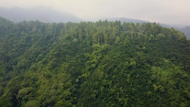 Bromo Rainforest Aerial Drone