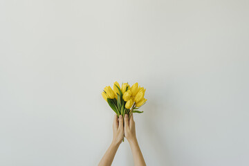 Female hands holding yellow tulip flowers bouquet on white background. Aesthetic festive valentine holiday celebration, minimal floral concept
