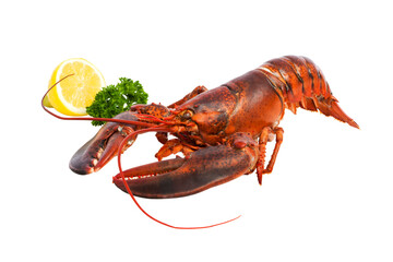 Red Lobster with lemon and parsley garnish on transparent background