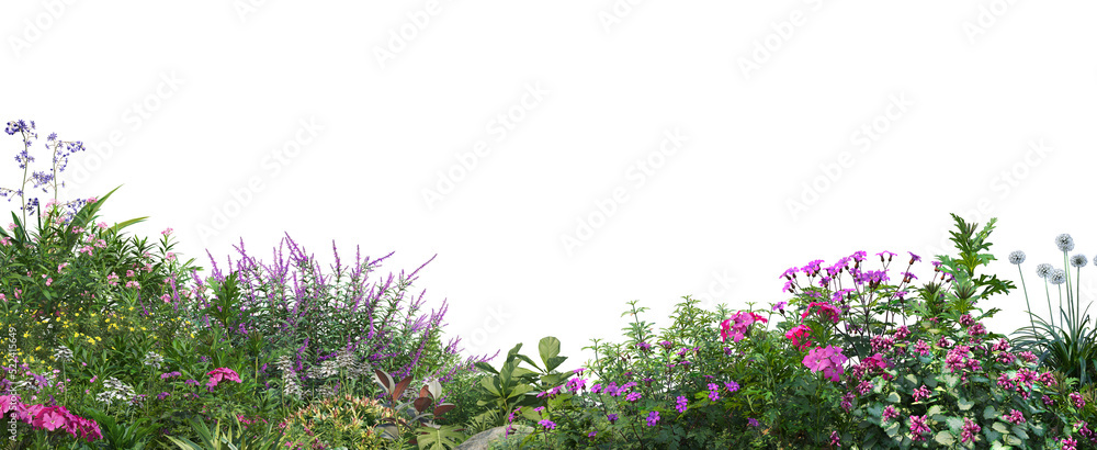 Sticker colorful flowers on a transparent background