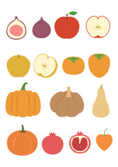 Vector illustration of autumn fruits and vegetables.