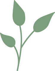 Tropical leaves green color, minimal style floral illustration