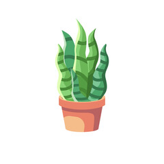 cute snake plant vector illustration, plant flat vector