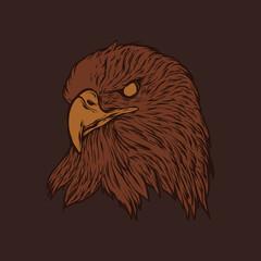 brown Eagle head illustration design
