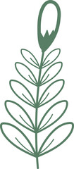 Floral flower and leaves hand drawn, Abstract botanical illustration