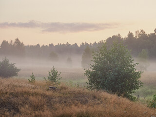 Obraz na płótnie Canvas Beautiful sunrise in a foggy landscape