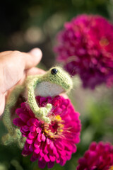 knitted frog on flowers