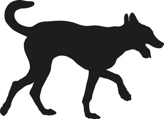 Black dog silhouette. Walking belgian sheepdog puppy. Malinois. Pet animals. Isolated on a white background. Vector illustration.