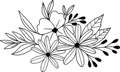 forest fern eucalyptus art foliage natural
leaves herbs inline style. Decorative beauty, elegant illustration 