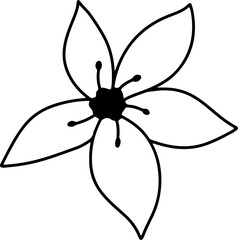 forest fern eucalyptus art foliage natural
leaves herbs inline style. Decorative beauty, elegant illustration 