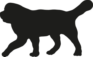 Walking newfoundland puppy. Black dog silhouette. Pet animals. Isolated on a white background. Vector illustration.