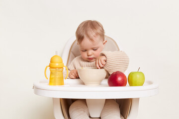 Portrait of concentrated baby wearing beige sweater sitting in a child's chair, isolated on a white background, holding spoon in hand and eating porridge with attentive expression. - obrazy, fototapety, plakaty