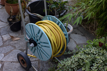 Rolled up yellow garden hose. Blue stand for garden hose stands on natural stone tiles and...
