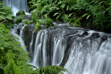 白糸の滝の清らかな水