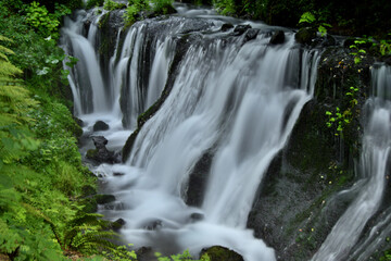 白糸の滝の清らかな水