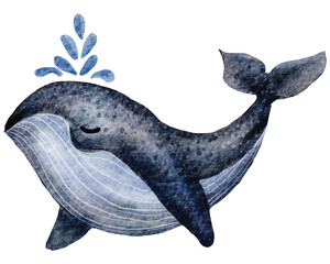 Big blue whale. Hand-drawn watercolor illustration